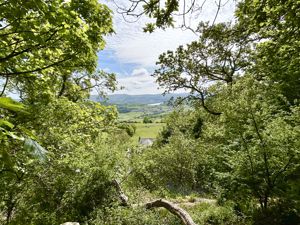 Photo 34- click for photo gallery